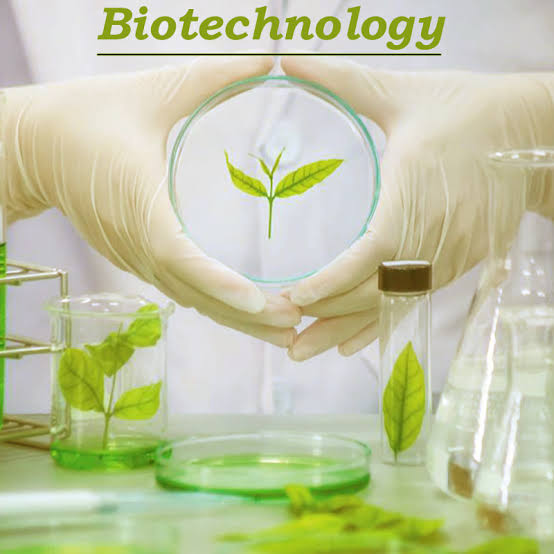 scope of biotechnology